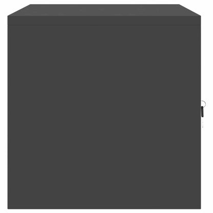 vidaXL Storage Cabinet Black 80 x 40 x 40 cm Cold-Rolled Steel