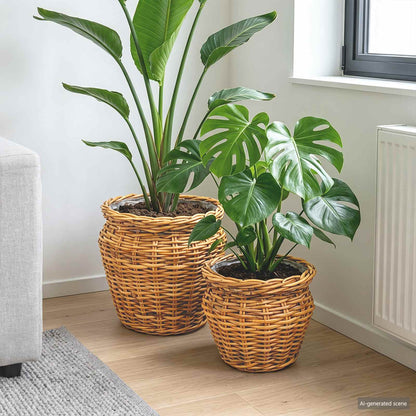 vidaXL Planter Basket GENDT 2 pcs Natural Brown Kubu Rattan
