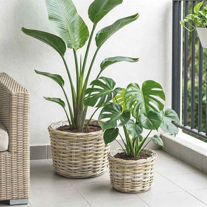 vidaXL Planter Basket GENDT 2 pcs Natural Grey Kubu Rattan