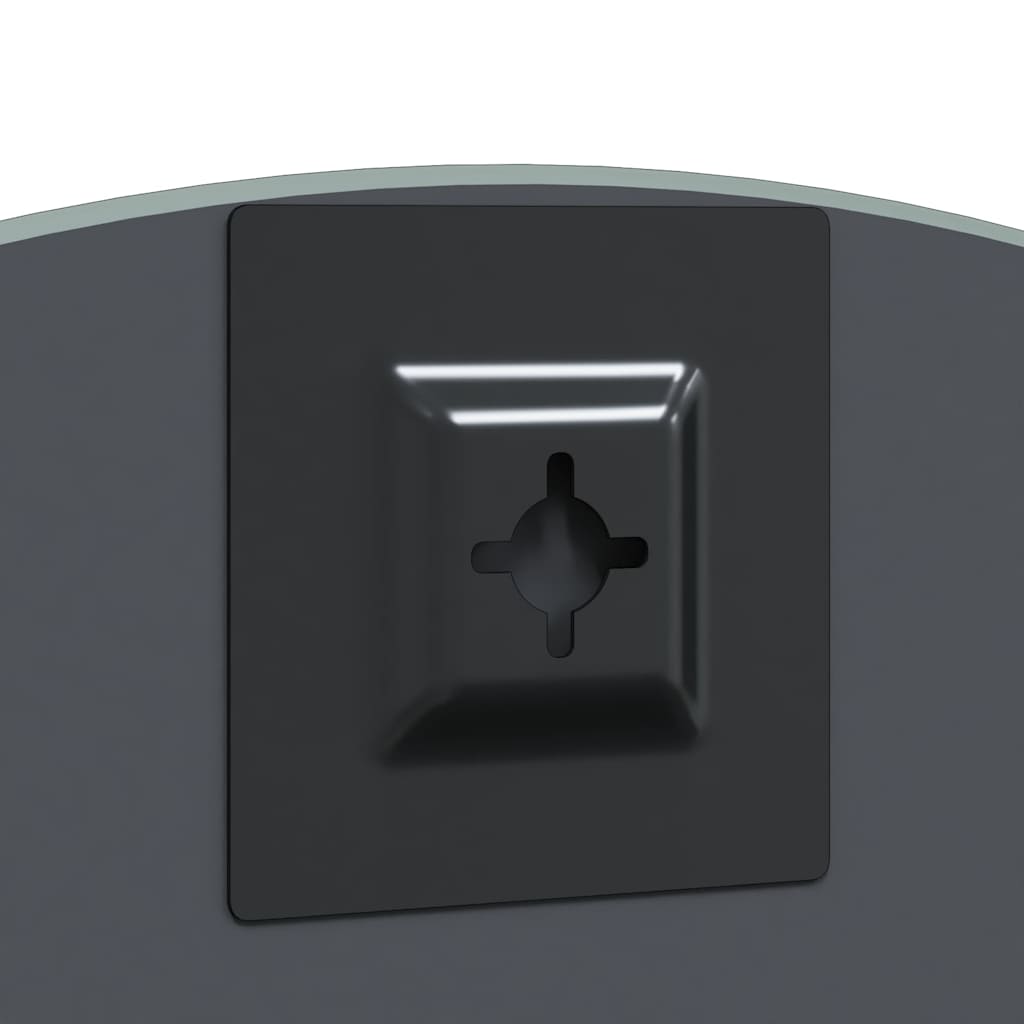 vidaXL Wall Mirror Round Ø 30 cm Tempered Glass