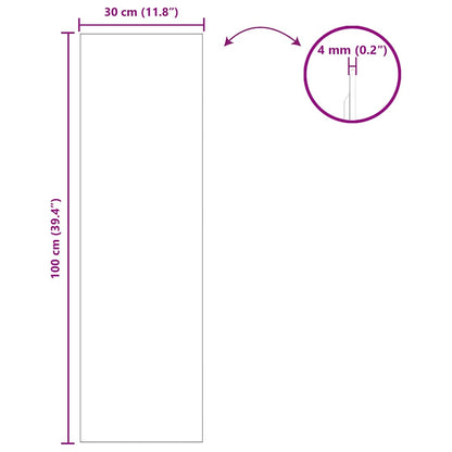 vidaXL Wall Mirror Rectangular 30 x 100 cm Tempered Glass