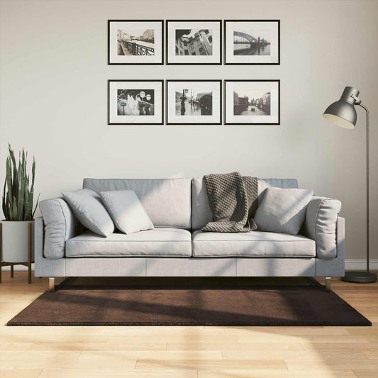 vidaXL Medium Pile Soft and Washable Rug HUARTE Brown 150 x 80 cm