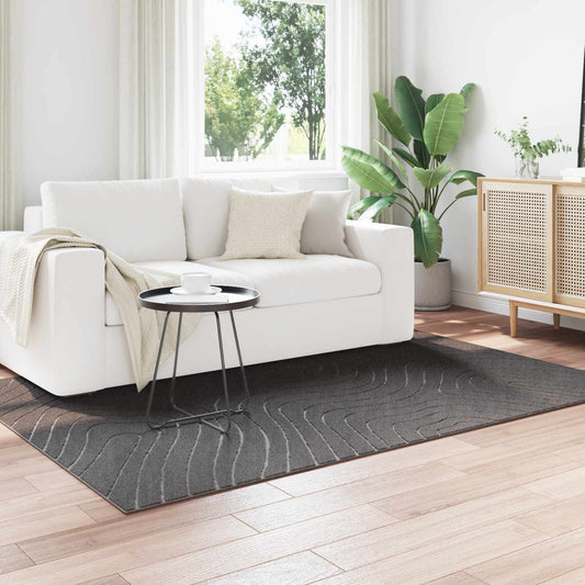 vidaXL Area Rugs Rectangular PALMERAS Anthracite 170 x 120 cm