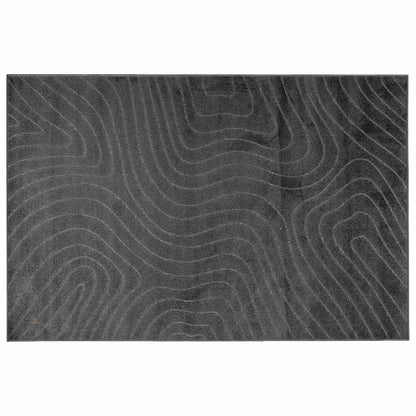vidaXL Area Rugs Rectangular PALMERAS Anthracite 280 x 200 cm
