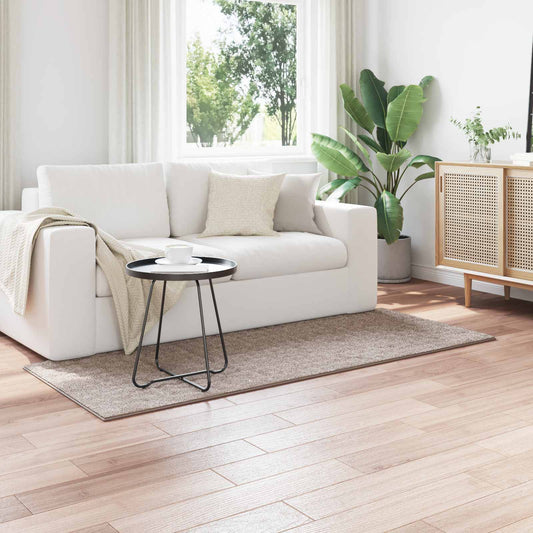vidaXL Area Rugs Rectangular SIROLO Sand 150 x 80 cm Polyester