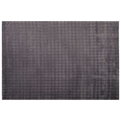 vidaXL Area Rugs Rectangular SIROLO Anthracite 170 x 120 cm Polyester