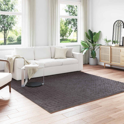 vidaXL Area Rugs Square SIROLO Anthracite 240 x 240 cm Polyester
