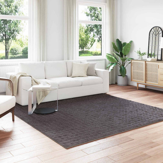vidaXL Area Rugs Square SIROLO Anthracite 240 x 240 cm Polyester