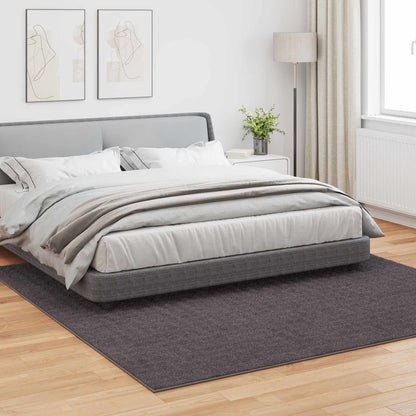 vidaXL Area Rugs Square SIROLO Anthracite 240 x 240 cm Polyester