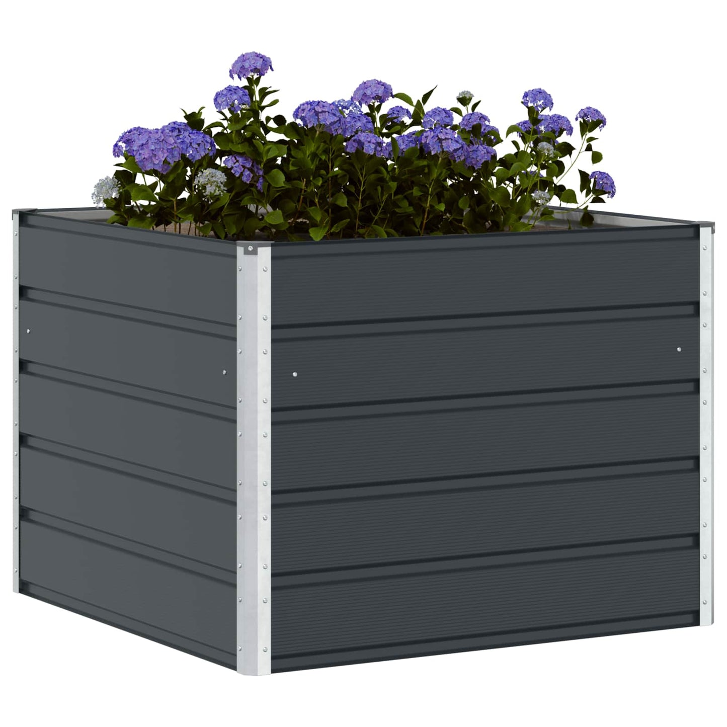 vidaXL Planter Anthracite 100 x 100 x 75 cm Steel