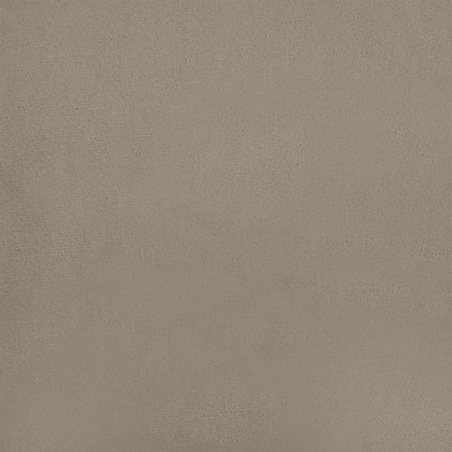 vidaXL Dining Chair 2 pcs Light Grey 55 x 59.5 x 77 cm Velvet