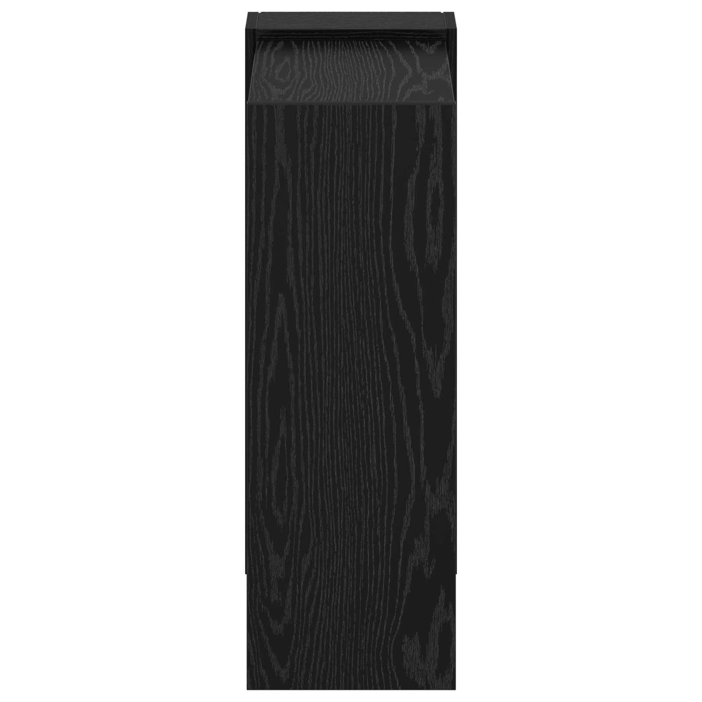 vidaXL Bookshelf 2-Tier 52 x 25 x 71.5 cm Engineered Wood Black Oak