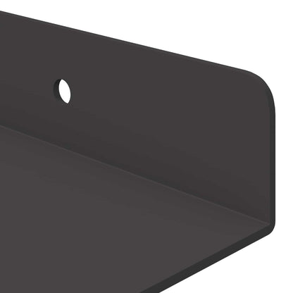 vidaXL Floating Shelf 2 pcs Black 30 x 9 x 2.5 cm Steel