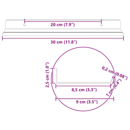 vidaXL Floating Shelf 2 pcs Black 30 x 9 x 2.5 cm Steel
