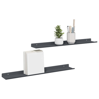 vidaXL Floating Shelf 2 pcs Anthracite 60 x 8.5 x 2.5 cm Steel