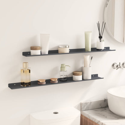 vidaXL Floating Shelf 2 pcs Anthracite 80 x 9 x 2.5 cm Steel