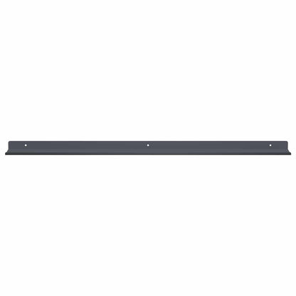 vidaXL Floating Shelf 2 pcs Anthracite 80 x 9 x 2.5 cm Steel
