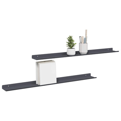 vidaXL Floating Shelf 2 pcs Anthracite 80 x 9 x 2.5 cm Steel