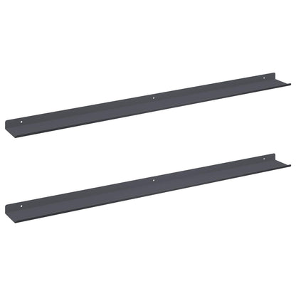 vidaXL Floating Shelf 2 pcs Anthracite 100 x 9 x 2.5 cm Steel