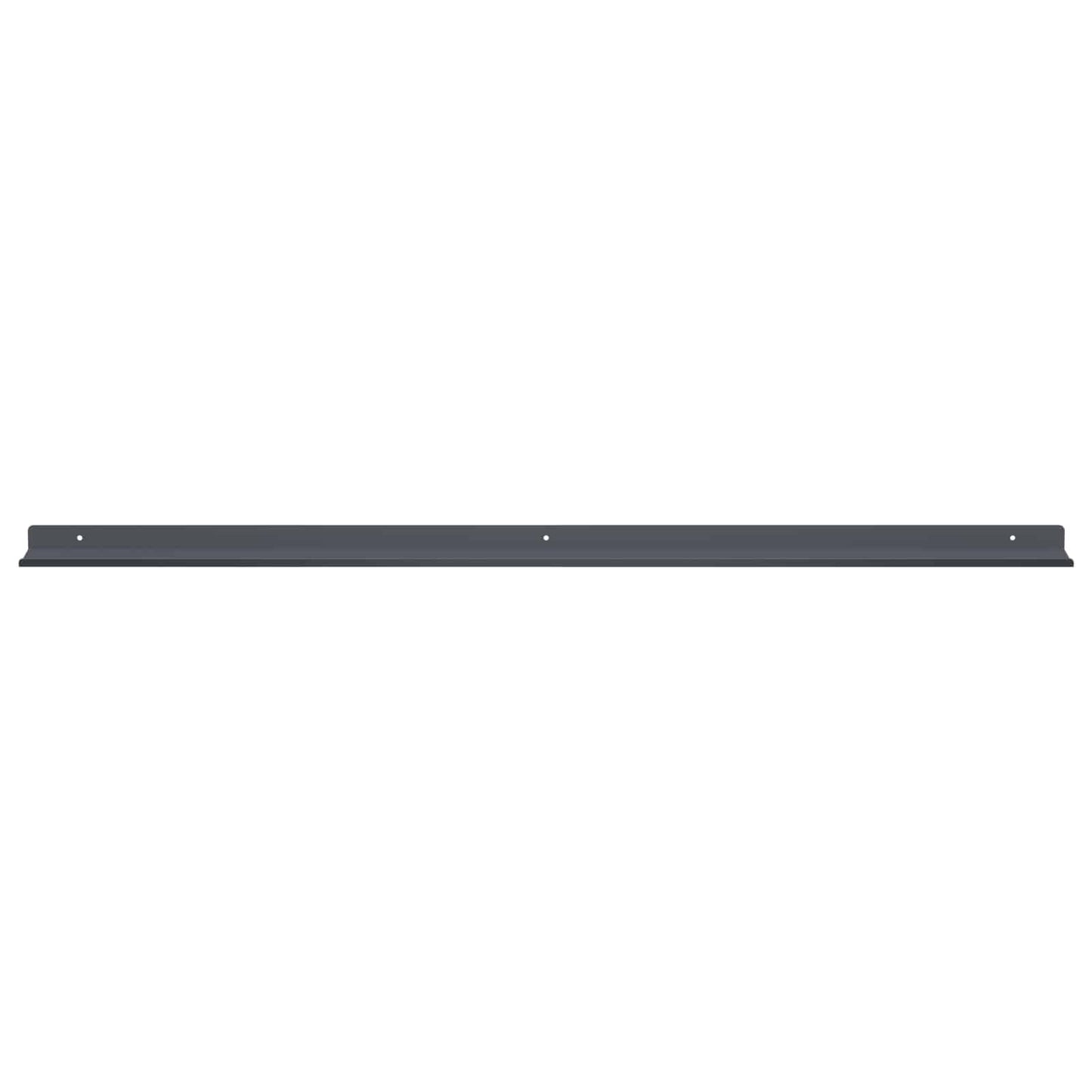 vidaXL Floating Shelf 2 pcs Anthracite 100 x 9 x 2.5 cm Steel