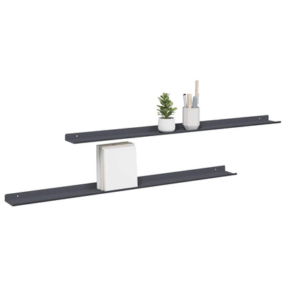 vidaXL Floating Shelf 2 pcs Anthracite 100 x 9 x 2.5 cm Steel