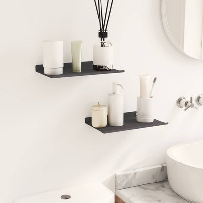 vidaXL Floating Shelf 2 pcs Black 30 x 18 x 2.5 cm Steel