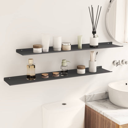vidaXL Floating Shelf 2 pcs Black 100 x 18 x 2.5 cm Steel