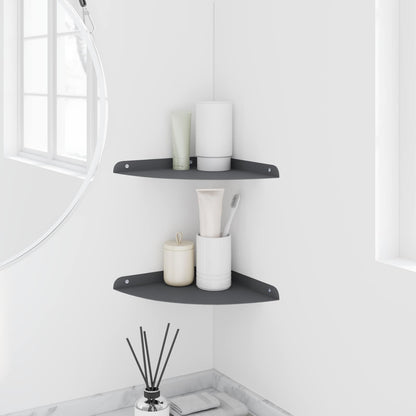 vidaXL Floating Shelf with Shelf 2 pcs Anthracite 24 x 24 x 2 cm