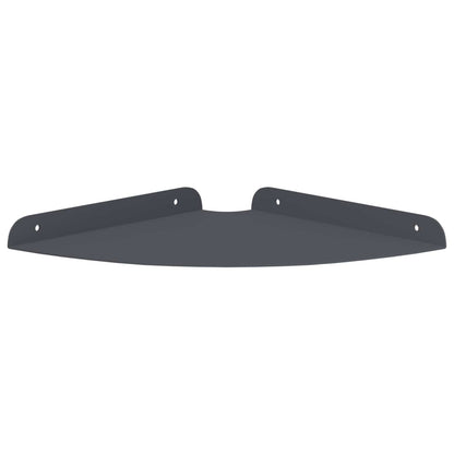 vidaXL Floating Shelf with Shelf 2 pcs Anthracite 24 x 24 x 2 cm