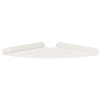 vidaXL Floating Shelf with Shelf 2 pcs White 24 x 24 x 2 cm