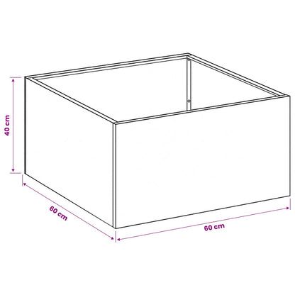 vidaXL Garden Planter 2 pcs Black 60 x 60 x 40 cm Cold-rolled Steel