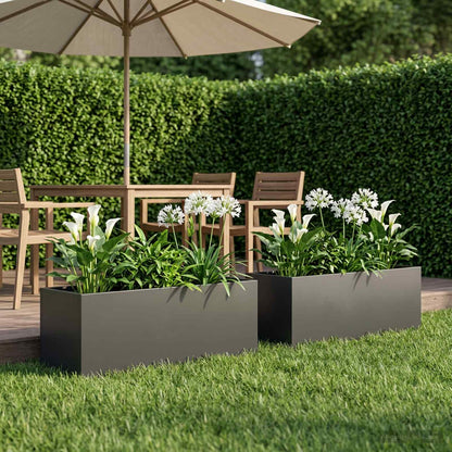 vidaXL Garden Planter 2 pcs Black 100 x 30 x 30 cm Cold-rolled Steel