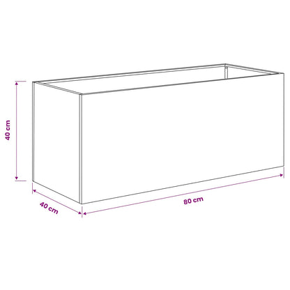vidaXL Garden Planter 2 pcs Black 80 x 40 x 40 cm Cold-rolled Steel