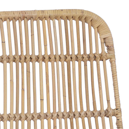 vidaXL Dinning Chair 2 pcs Natural 41 x 55 x 85 cm Rattan and Steel