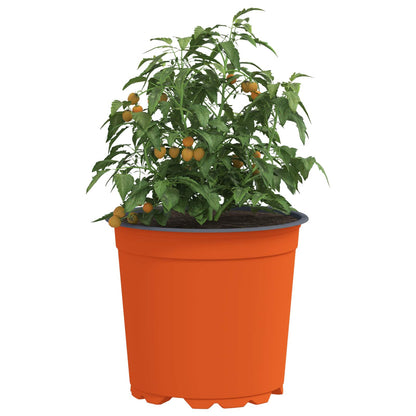 vidaXL Flower Pot 200 pcs Terracotta Ø 15 x 13 cm Plastic