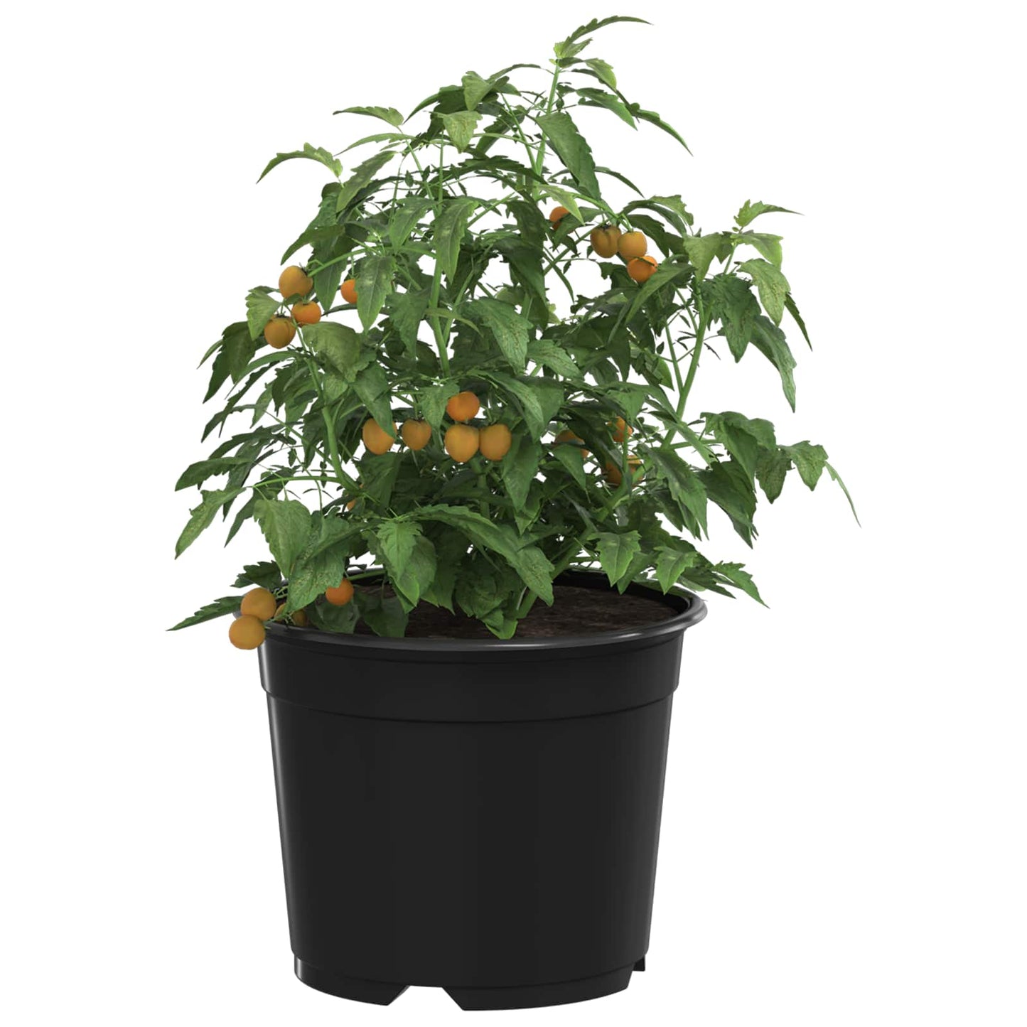 vidaXL Round Flower Pot 50 pcs Black Ø 10 x 8 cm Plastic