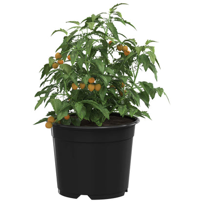 vidaXL Round Flower Pot 50 pcs Black Ø 10 x 8 cm Plastic