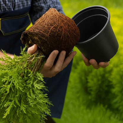 vidaXL Flower Pot 200 pcs Black Ø 10 x 8 cm Plastic