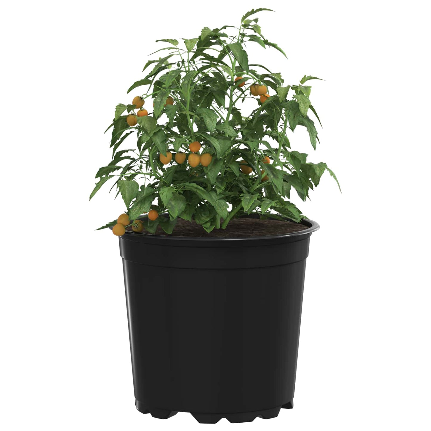 vidaXL Flower Pot 200 pcs Black Ø 15 x 13 cm Plastic