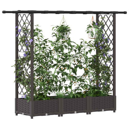 vidaXL Raised Bed with Trellis and Roof Brown 164 x 40 x 123 cm PP