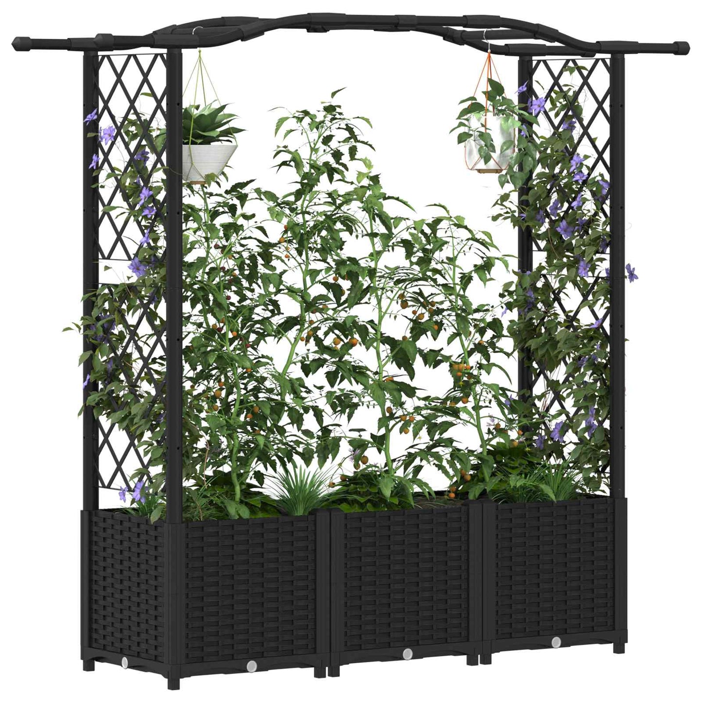 vidaXL Raised Bed with Trellis and Roof Black 164 x 40 x 142 cm PP