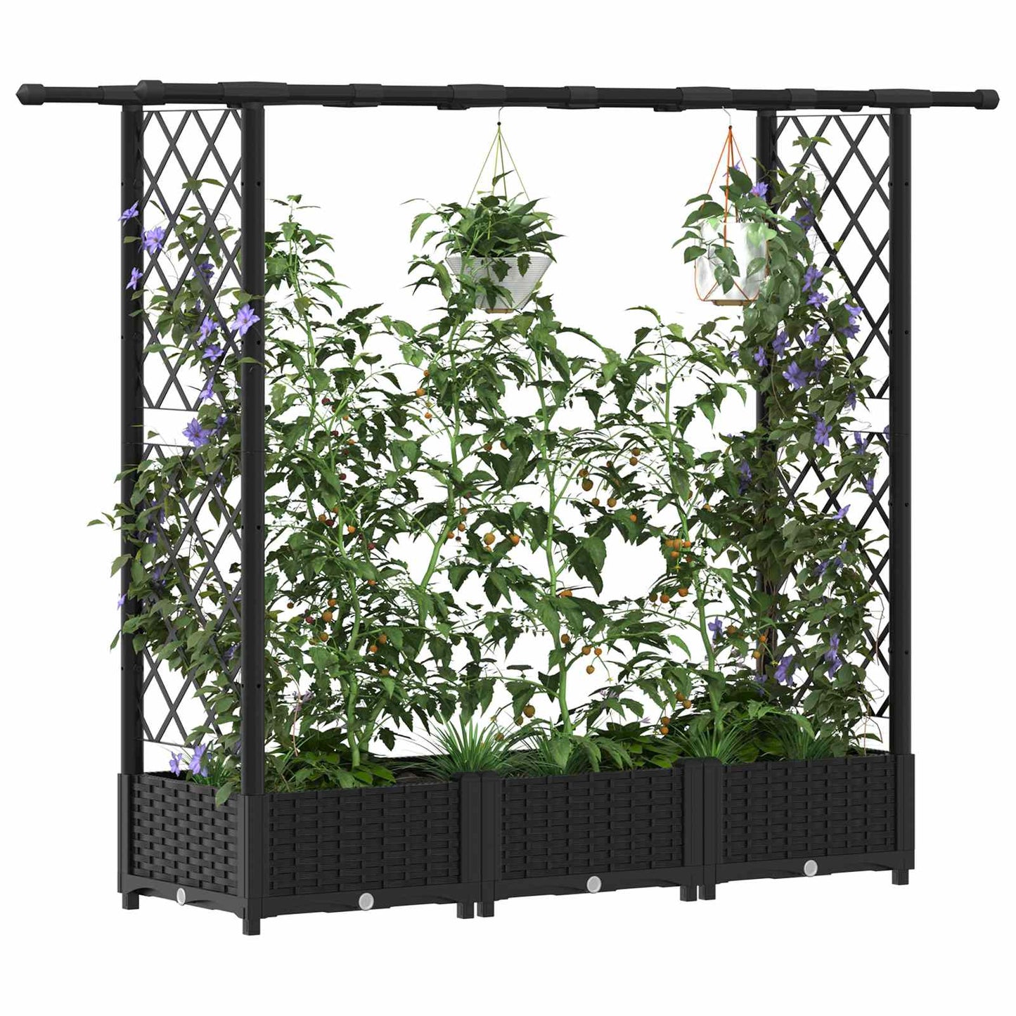 vidaXL Raised Bed with Trellis and Roof Black 164 x 40 x 123 cm PP