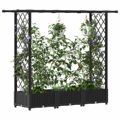 vidaXL Raised Bed with Trellis and Roof Black 164 x 40 x 123 cm PP
