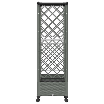 vidaXL Raised Bed with Trellis and Roof Light Grey 164 x 40 x 127 cm