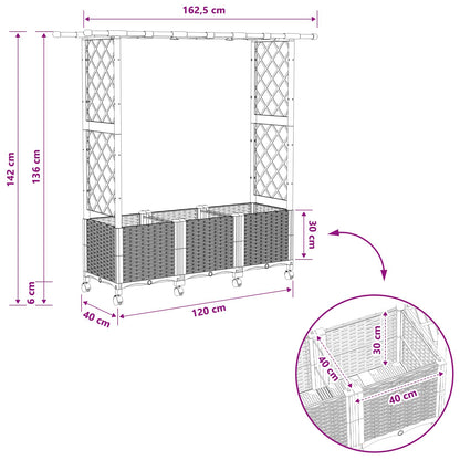 vidaXL Raised Bed with Trellis and Roof Black 162.5 x 40 x 142 cm PP