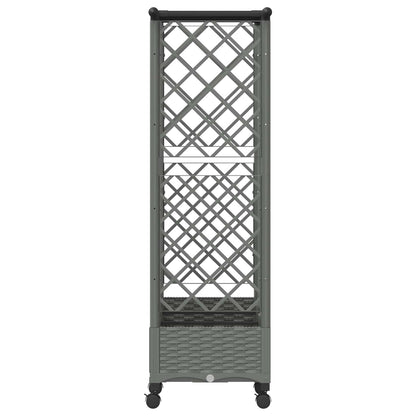 vidaXL Raised Bed with Trellis and Roof Light Grey 164 x 40 x 127 cm