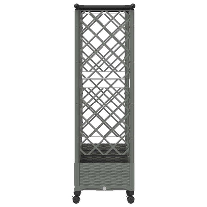 vidaXL Raised Bed with Trellis and Roof Light Grey 202.5 x 40 x 127 cm