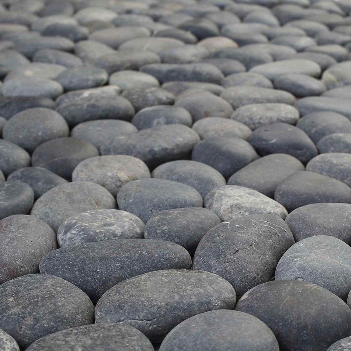 vidaXL Pebble Tiles Grey 30 x 30 cm River Pebble