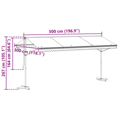 vidaXL Free Standing Awning Anthracite 5 x 3 m Polyester