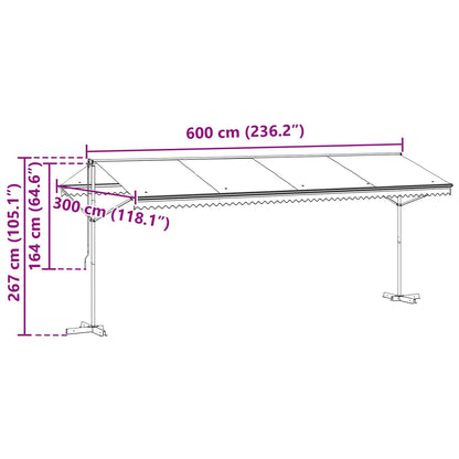 vidaXL Free Standing Awning Anthracite 6 x 3 m Polyester